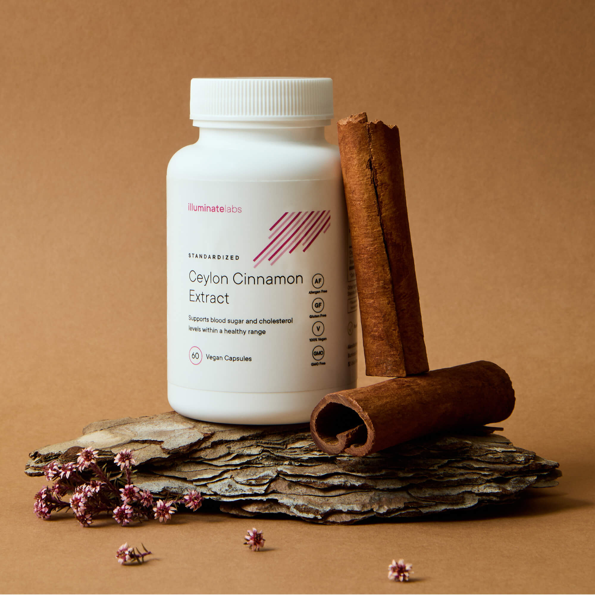 A photoshoot of Illuminate Labs Ceylon Cinnamon Extract bottle in a natural setting next to two sticks of Ceylon cinnamon