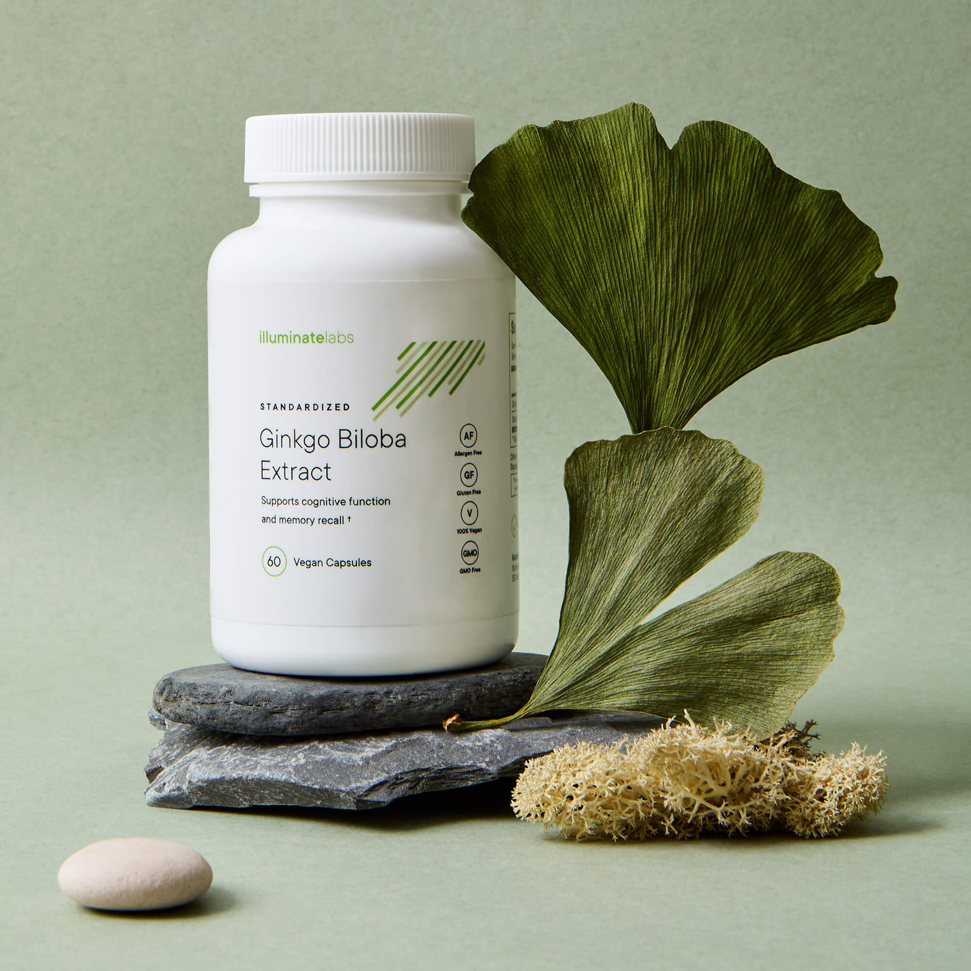 A photoshoot of Illuminate Labs Ginkgo Biloba Extract bottle in a natural setting next to two ginkgo biloba leaves