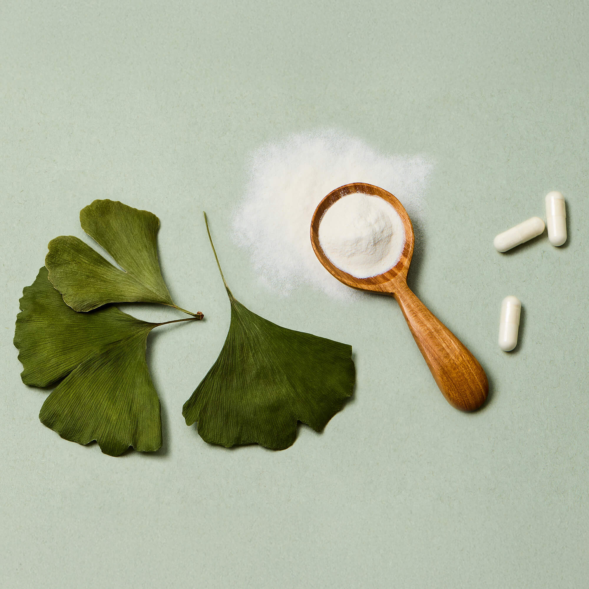 A side-by-side image of Ginkgo biloba whole leaf, Ginkgo biloba powder and Illuminate Labs Ginkgo Biloba Extract capsules, visually explaining the process of extraction from whole plant to potent dietary supplement