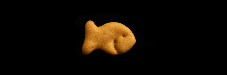 Are Goldfish Healthy? A Dietitian Answers