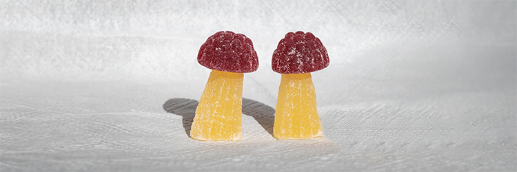 Auri Mushroom Gummies Review: Nootropic or Not?