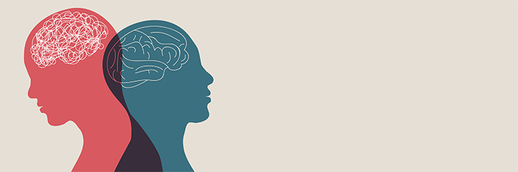 Cerebra Review: Can Supplements Improve Brain Health?