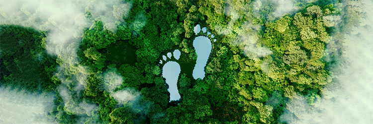 Does Earthing Have Health Benefits? A Research Review