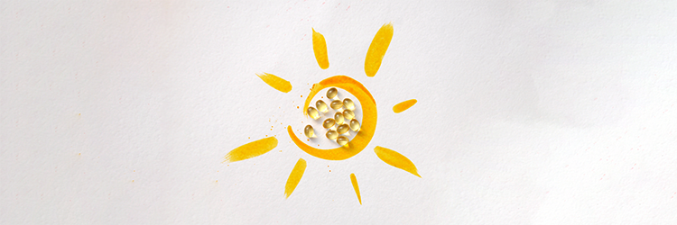 First Day Vitamins Review: Are Gummy Vitamins Healthy?