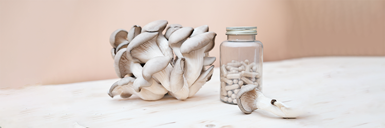 Genius Mushrooms Review: Are Mushrooms Nootropic?