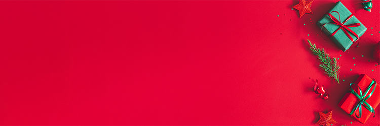 2025 Healthy Holiday Gift Guide: Our Top Picks