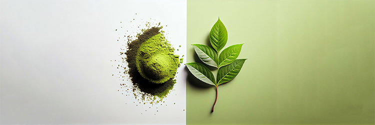 Kratom Review: Plant-Based Pain Relief or Harmful?