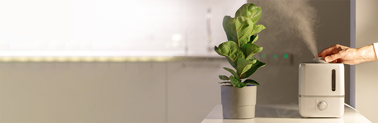 Molekule Review: Superior to Regular Air Purifiers?