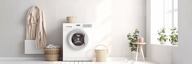 Tru Earth Laundry Strips Review: Safest Laundry Strips?