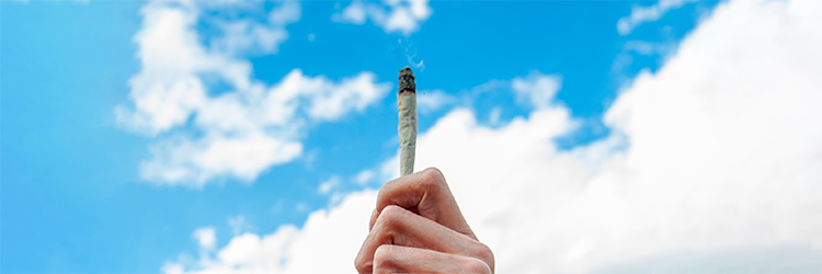 Weed and Heart Attacks: What Does the Science Say?