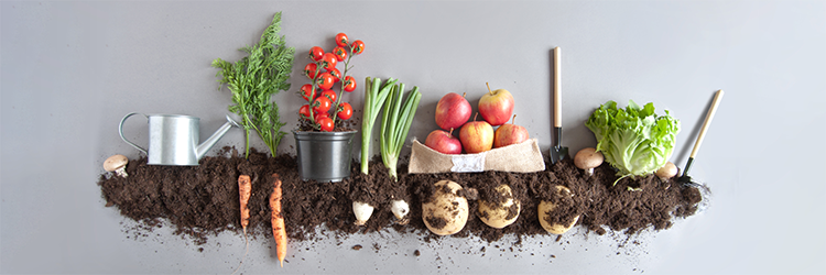 What Can an Individual Do to Further Public Health? 5 Great Options